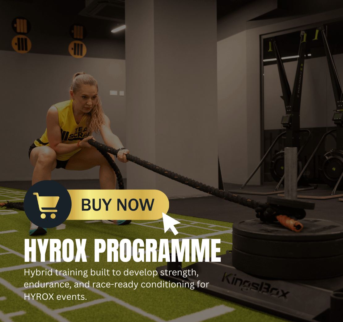 website programmes (11)