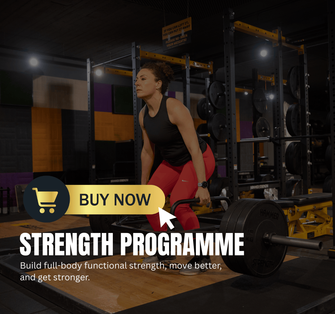 website programmes (12)