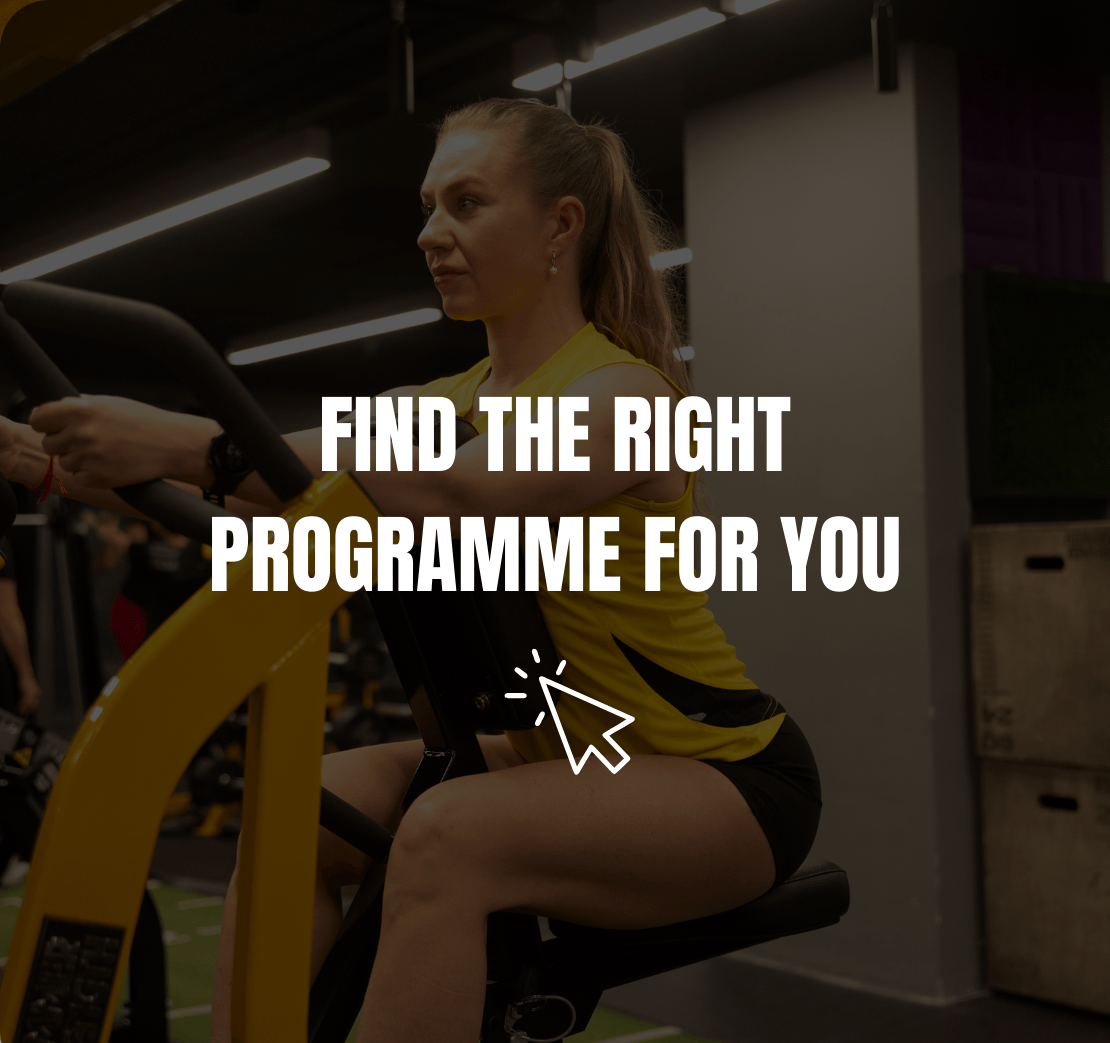 website programmes (7)